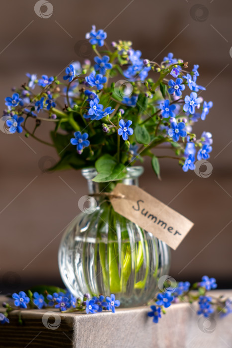 Скачать букет голубых незабудок в стеклянной вазе. поздравление, красивая открытка на день рождения, день матери и свадьбу фотосток Ozero