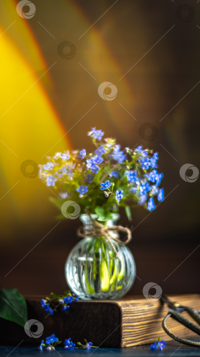 Скачать букет голубых незабудок в стеклянной вазе. поздравление, красивая открытка на день рождения, день матери и свадьбу фотосток Ozero