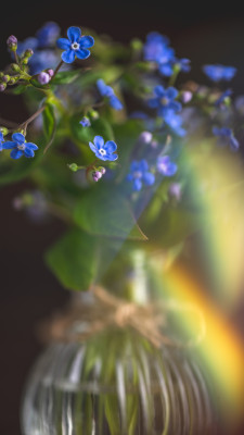 [object Object] undefined