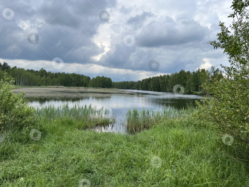 Скачать Май 2024 Подмосковье Россия фотосток Ozero