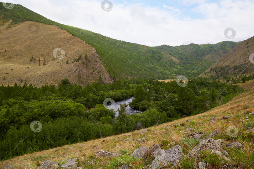 Скачать Прекрасный вид на ущелье горной реки, лес. фотосток Ozero