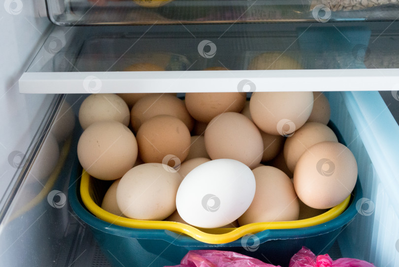 Скачать Яйцо куриное, яйца куриные в холодильнике фотосток Ozero