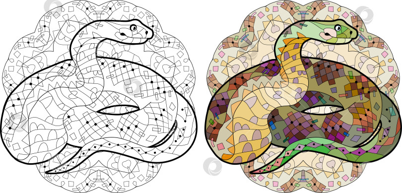 Скачать Зентангловая змея для раскрашивания мандалы. Декоративная векторная иллюстрация, нарисованная от руки. Набор цветов и контуров фотосток Ozero