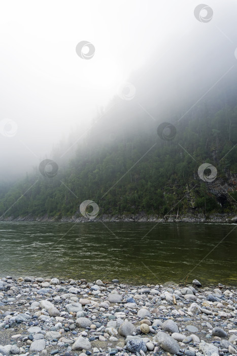 Скачать Туманное утро на берегу горной реки. фотосток Ozero