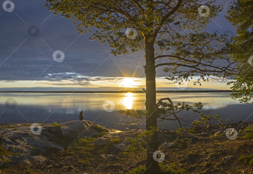 Скачать Вечер на берегу Белого моря. фотосток Ozero