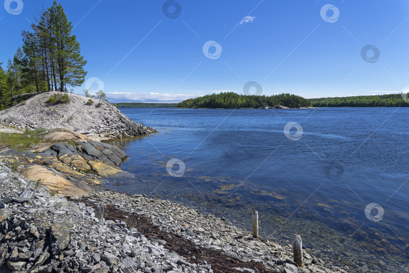 Скачать Берег Белого моря в солнечный летний день. фотосток Ozero