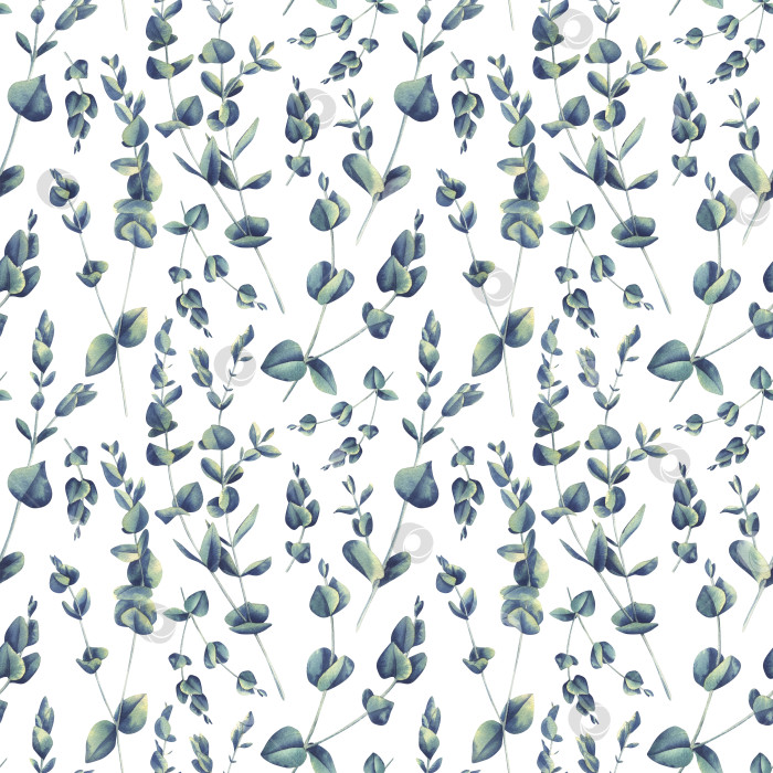Скачать Ветви эвкалипта на белом фоне. акварельная иллюстрация. Бесшовный узор из коллекции WEDDING FLOWERS. Для оформления и дизайна тканей, текстиля, обоев, декора фотосток Ozero