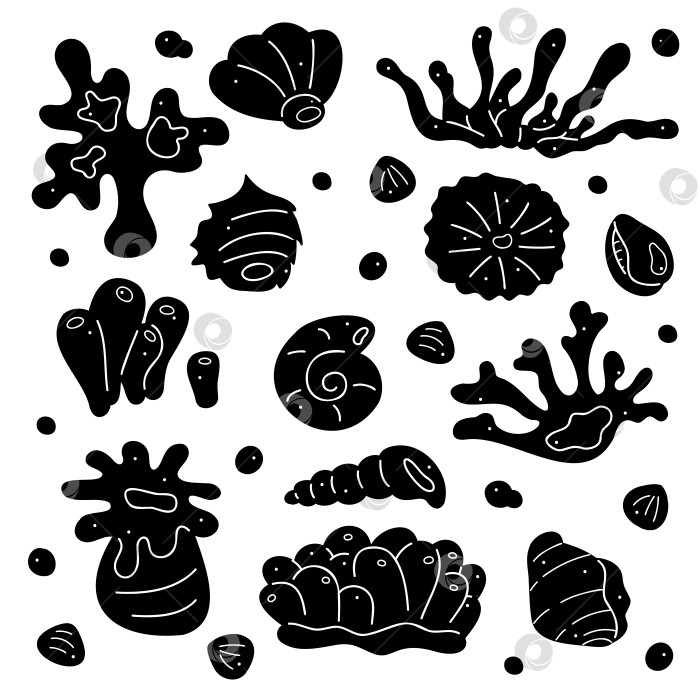 Скачать Набор для рисования каракулей с силуэтными кораллами и ракушками. Черно-белая иллюстрация в виде клипартов. фотосток Ozero