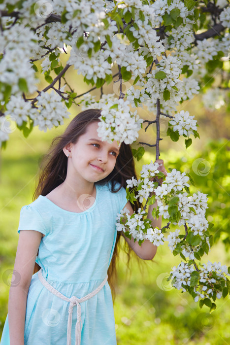 Скачать Красивая молодая девушка с мечтательной улыбкой в цветущем яблоневом саду. фотосток Ozero