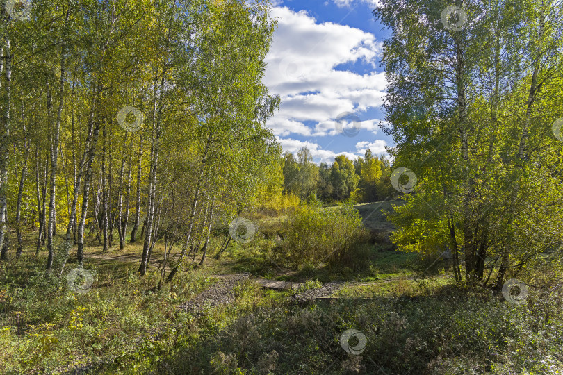 Скачать Прекрасный осенний пейзаж. фотосток Ozero