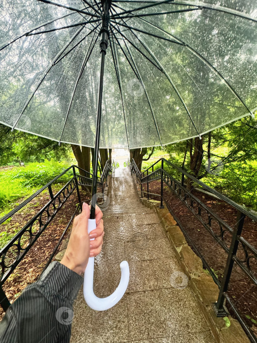 Скачать Женская рука с зонтиком. Белый прозрачный зонтик на лестнице. фотосток Ozero