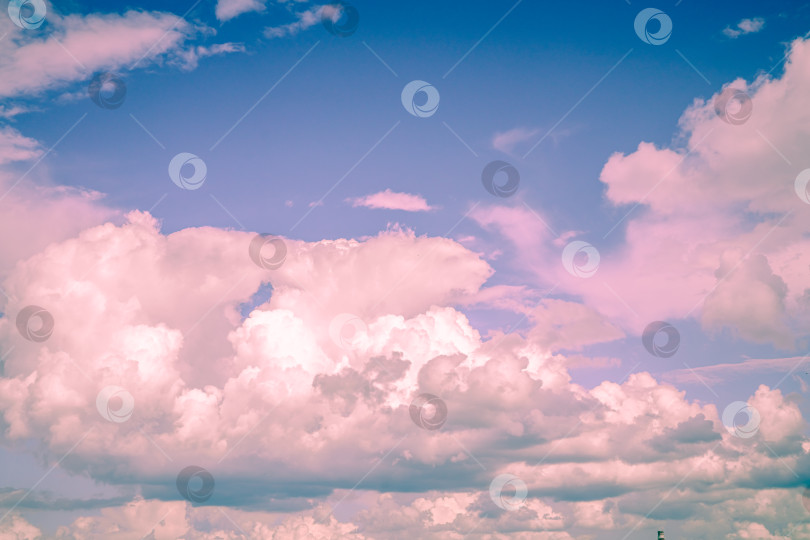 Скачать Красивые сказочные розовые кучевые облака в голубом небе на закате. естественный фон фотосток Ozero