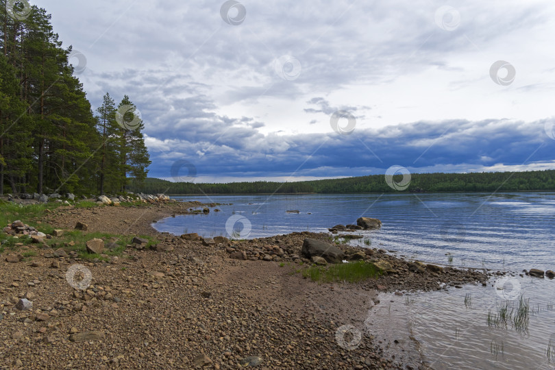 Скачать Прибрежная зона во время отлива. фотосток Ozero