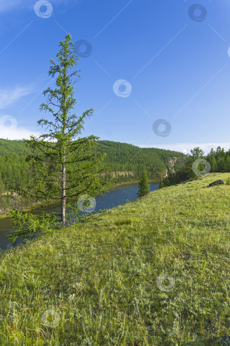 Скачать Высокий обрывистый скалистый берег реки. Сибирь. фотосток Ozero