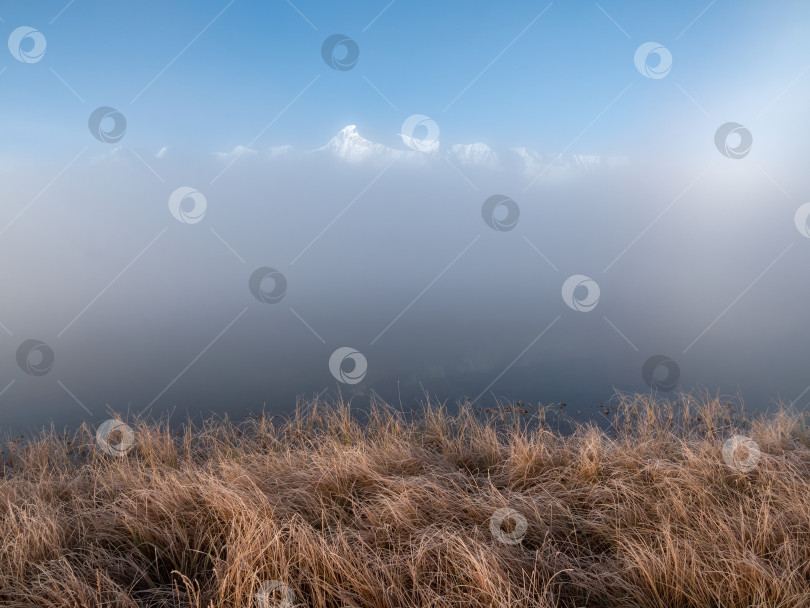 Скачать Утренний туман и вид на вершины заснеженных гор фотосток Ozero