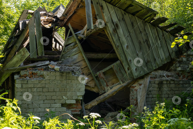 Скачать Руины заброшенного дома в зарослях фотосток Ozero