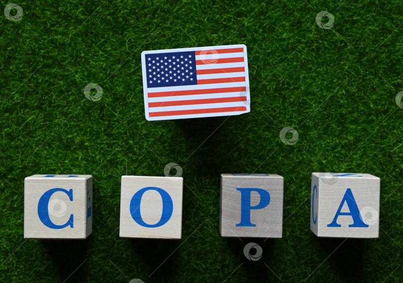 Скачать Кубок Америки 2024 фотосток Ozero