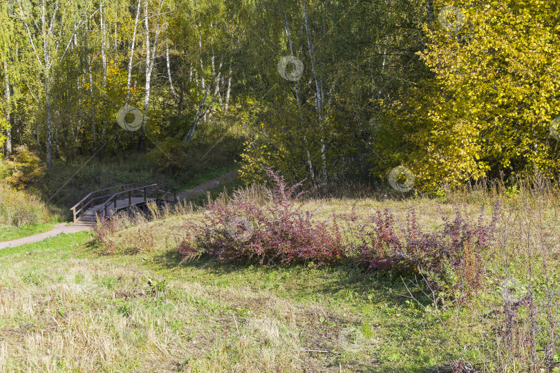 Скачать Прекрасный осенний пейзаж. фотосток Ozero