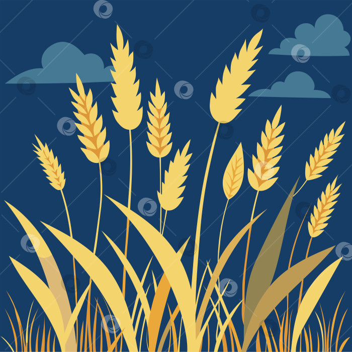 Скачать Нарисованные вручную золотые колосья и высокая трава на синем фоне фотосток Ozero
