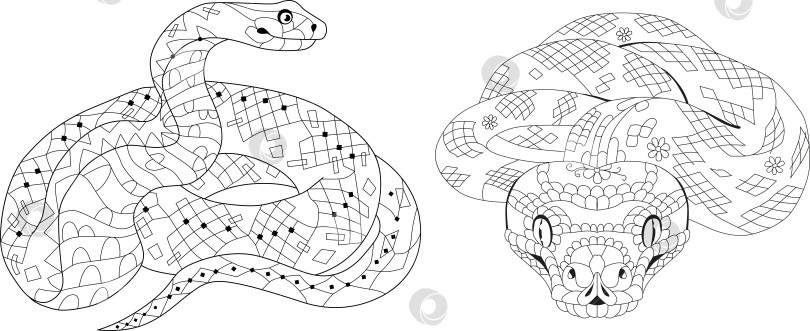Скачать Зентангловые змеи для раскрашивания страниц. Декоративная векторная иллюстрация, нарисованная от руки. фотосток Ozero