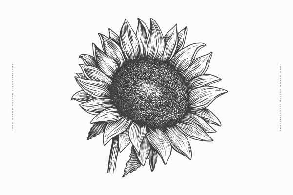 [object Object] undefined