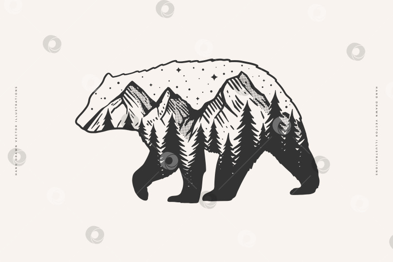 Скачать Силуэтное изображение идущего медведя с лесным пейзажем на теле. Звезды над темным лесом и горами. Символ дикой природы и леса на светлом фоне. фотосток Ozero