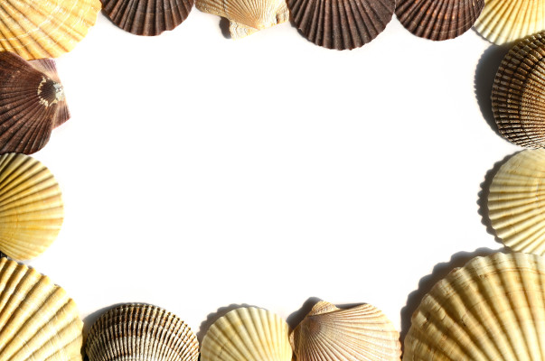 [object Object] undefined