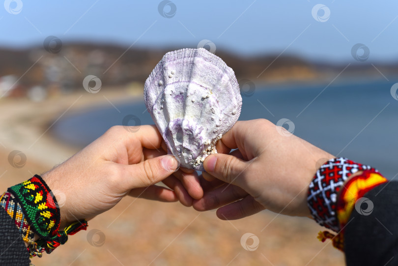 Скачать Сиреневая раковина японского моря в руках на фоне моря фотосток Ozero
