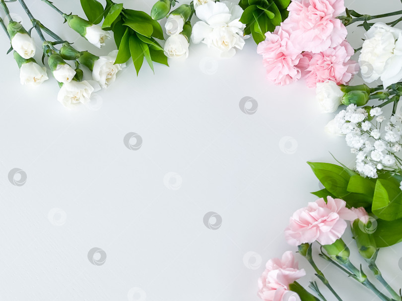 Скачать Фотография букета из розового и белого цветов крупным планом фотосток Ozero
