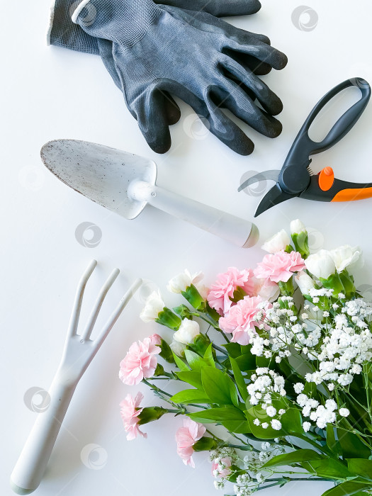 Скачать опрыскайте розовые и белые цветы садовыми инструментами фотосток Ozero