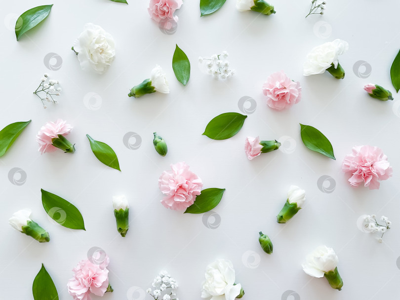 Скачать Цветочный узор из розовых и белых гвоздик, зеленых листьев фотосток Ozero