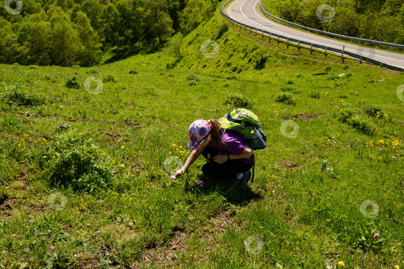 Скачать Турист, рассматривающий полевые цветы у извилистой дороги. фотосток Ozero