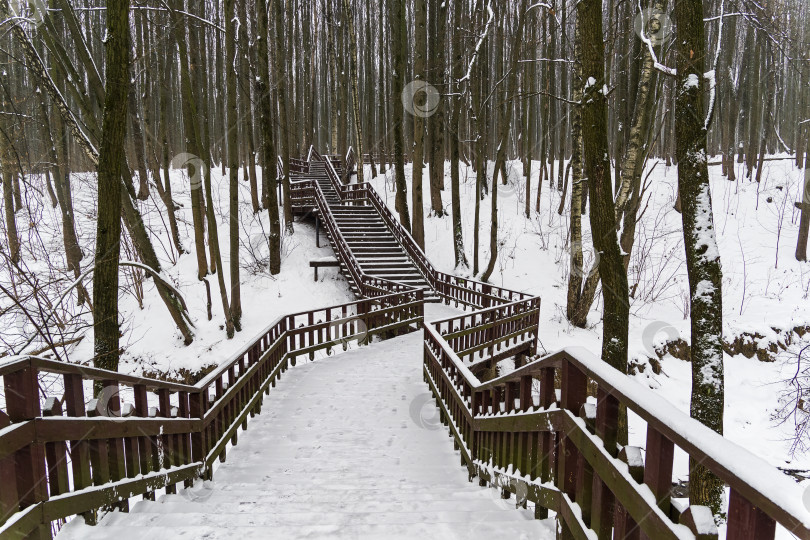 Скачать Деревянная лестница через овраг. фотосток Ozero