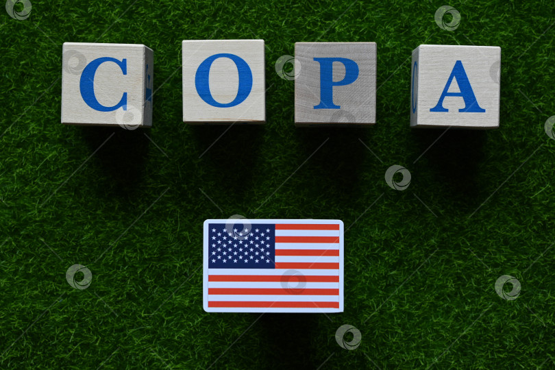 Скачать Кубок Америки 2024 фотосток Ozero