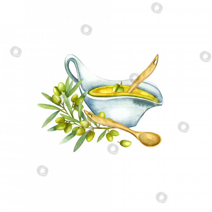 Скачать Ручной рисунок акварелью, оливковая ветвь с ягодами, фруктами, масло в миске. фотосток Ozero