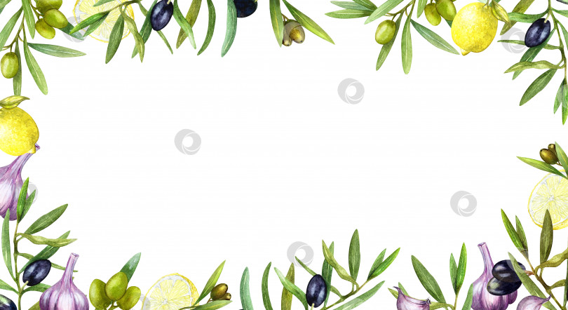 Скачать Оливковые веточки, чеснок, лимон, черные и зеленые оливки. Рамка, бордюр, акварель, нарисованная от руки. Дизайн для открыток, приглашений, оберточной бумаги, канцелярских принадлежностей. фотосток Ozero