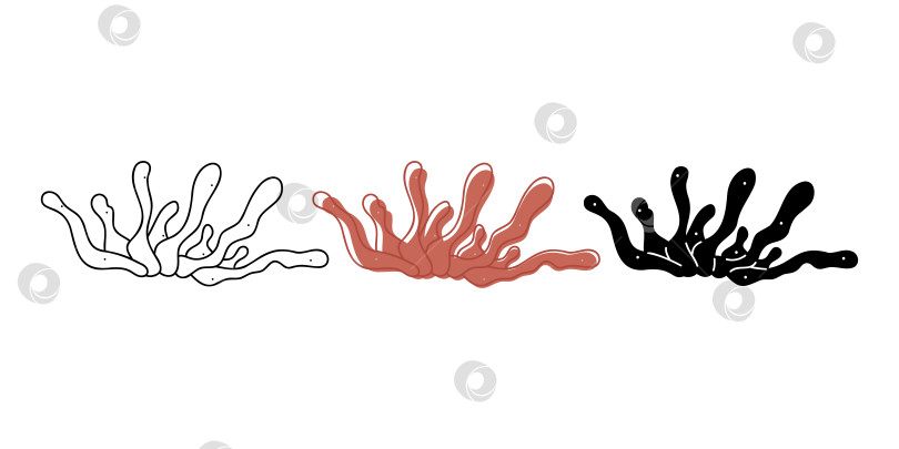 Скачать Набор для рисования каракулями с кораллами разных цветов. Картинки для ваших проектов. фотосток Ozero