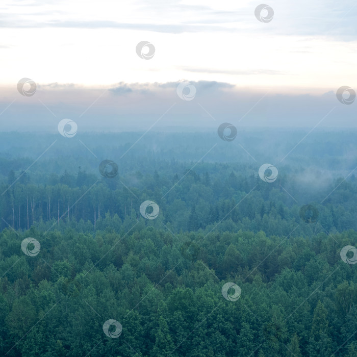 Скачать Вид с высоты птичьего полета на туманный лес утром на восходе солнца фотосток Ozero