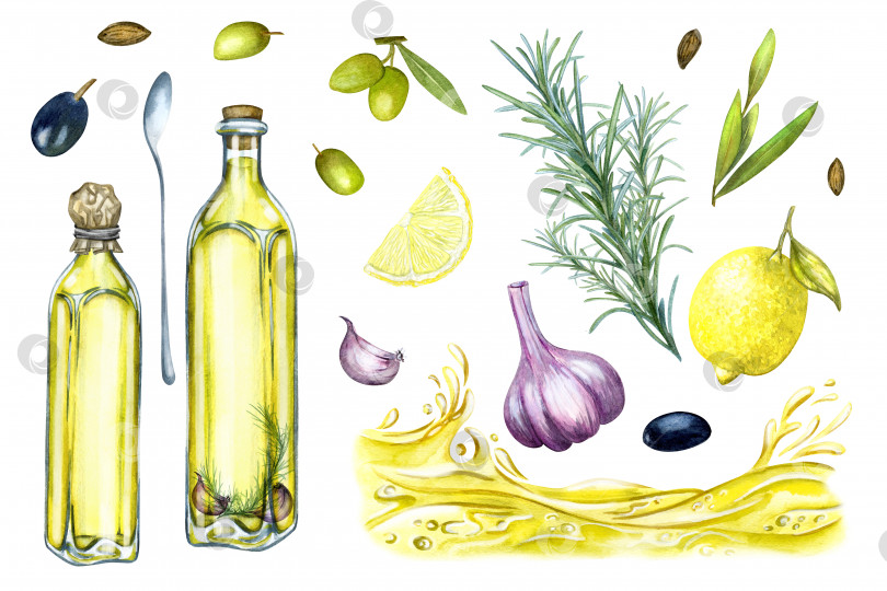 Скачать Набор оливкового масла, акварель, ручная роспись, изолированные элементы прованс Италия Греция кухня для приготовления пищи для меню ресторана, упаковка продукта, текстиль, полотенце. фотосток Ozero