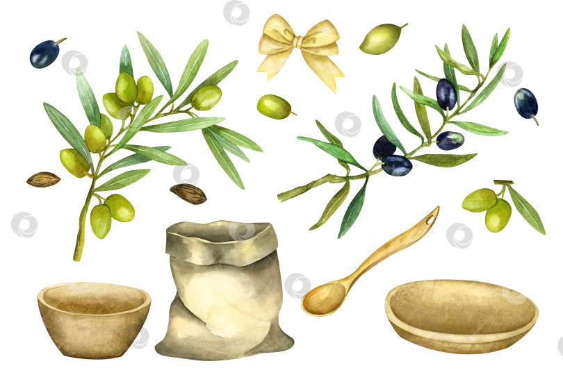 Скачать Набор оливкового масла, акварель, ручная роспись, изолированные элементы прованс Италия Греция кухня для приготовления пищи для меню ресторана, упаковка продукта, текстиль, полотенце. фотосток Ozero
