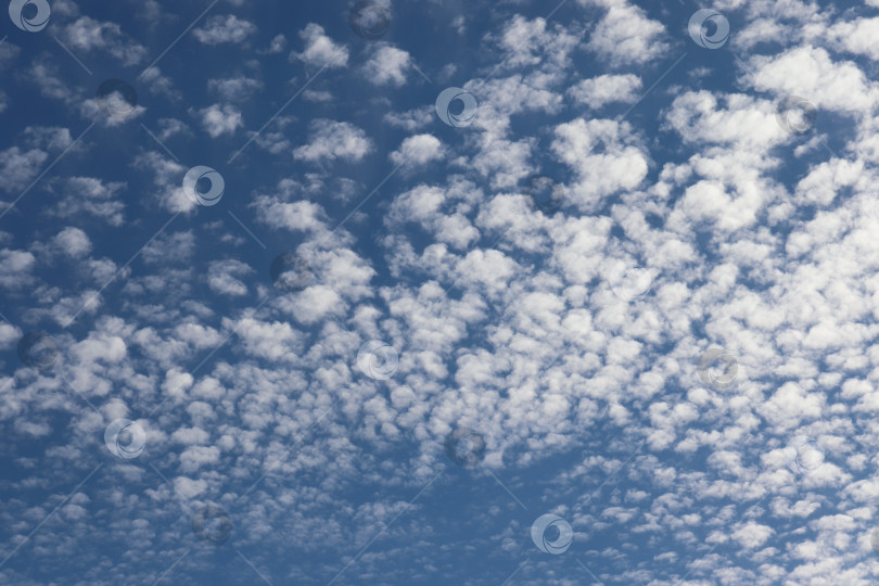 Скачать фотография лазурного неба с перистыми облаками в летний день фотосток Ozero