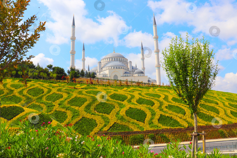 Скачать фотография турецкой мечети в Стамбуле фотосток Ozero