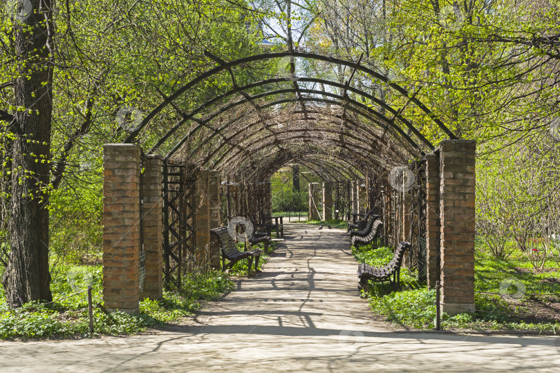 Скачать Беседка в парке. фотосток Ozero