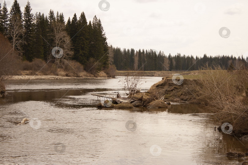 Скачать Река Иркут в мае Сибирь водные ресурсы планеты лес тайга фотосток Ozero