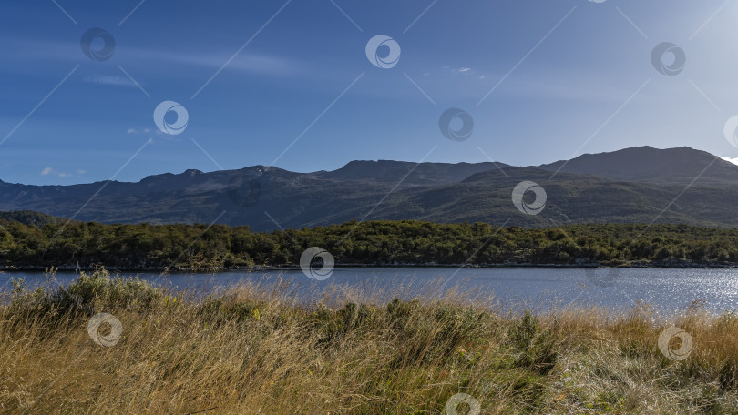 Скачать Прекрасный осенний пейзаж Патагонии. фотосток Ozero