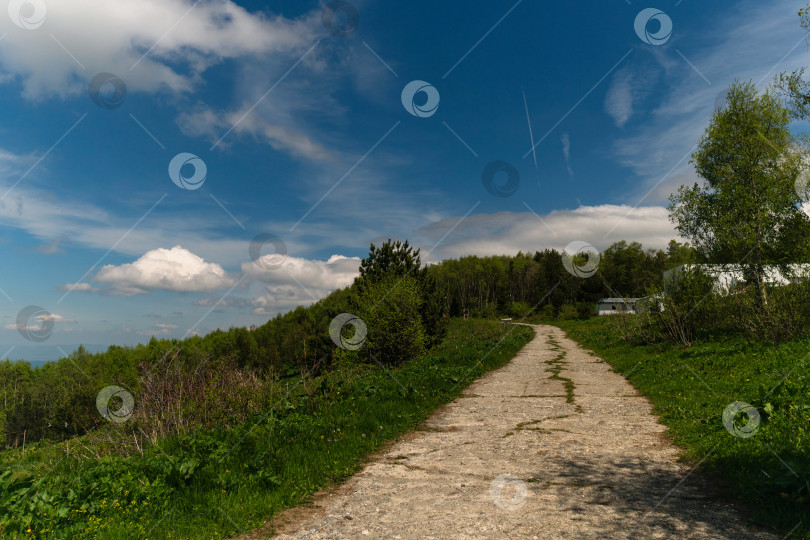 Скачать Тропинка, ведущая через густой лес под голубым небом. фотосток Ozero