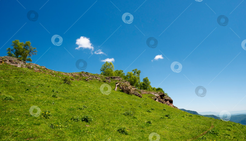 Скачать Склон холма под ясным голубым небом с деревьями и скалами. фотосток Ozero