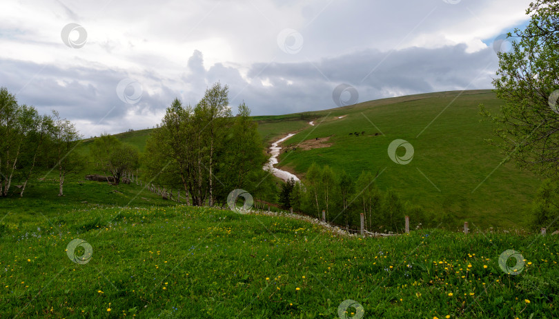 Скачать Холмистый пейзаж с зелеными полями и извилистым ручьем. фотосток Ozero