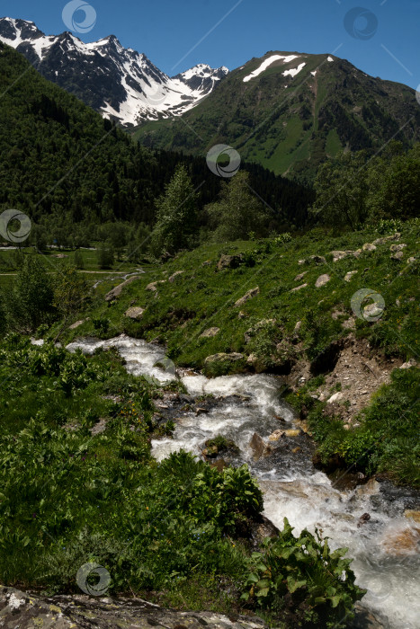 Скачать Горный ручей, текущий по зеленым холмам фотосток Ozero
