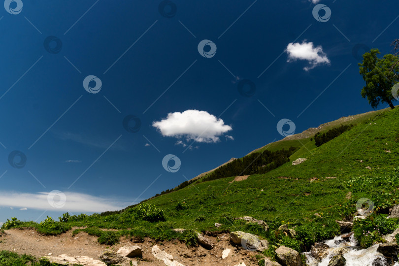 Скачать Одинокое облачко над зеленым склоном холма на фоне голубого неба. фотосток Ozero